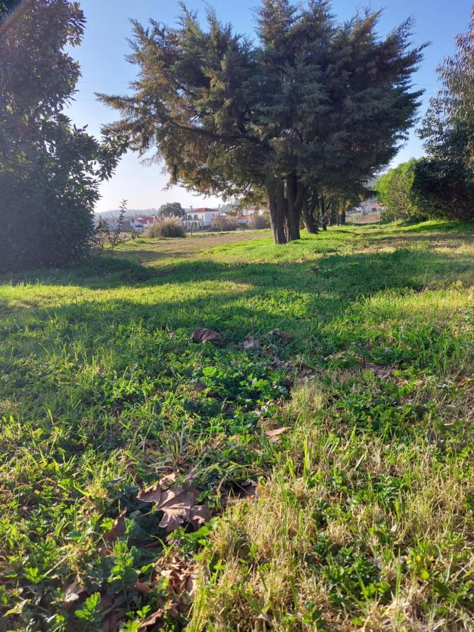 Quinta Cunte - Casa Sobreiro Villa São Luis Kültér fotó