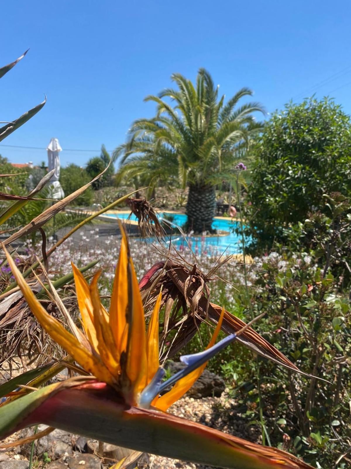 Quinta Cunte - Casa Sobreiro Villa São Luis Kültér fotó