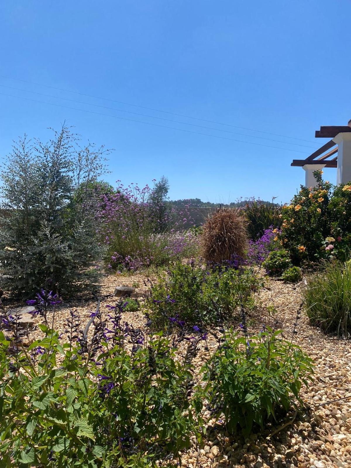 Quinta Cunte - Casa Sobreiro Villa São Luis Kültér fotó