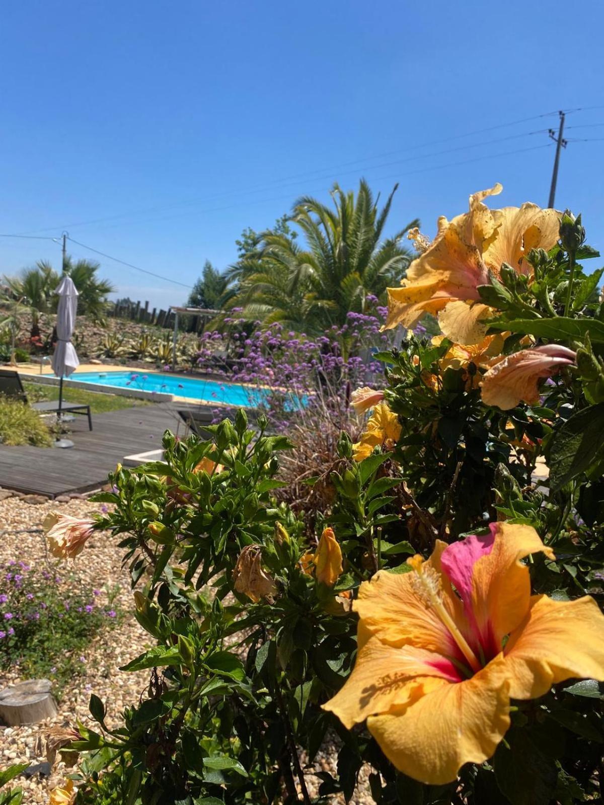 Quinta Cunte - Casa Sobreiro Villa São Luis Kültér fotó