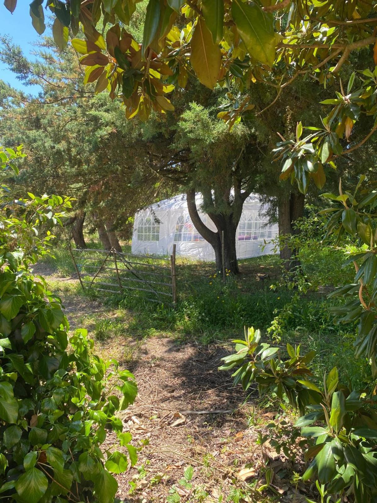 Quinta Cunte - Casa Sobreiro Villa São Luis Kültér fotó